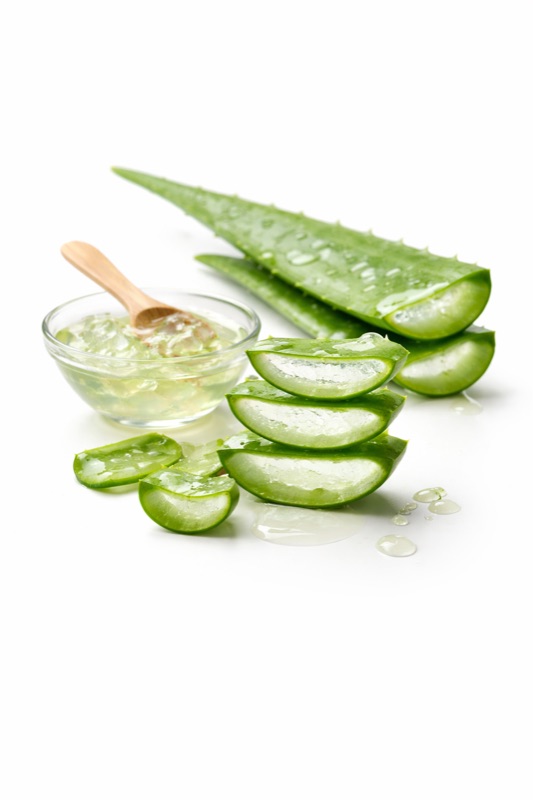 Folhas de Aloe Vera